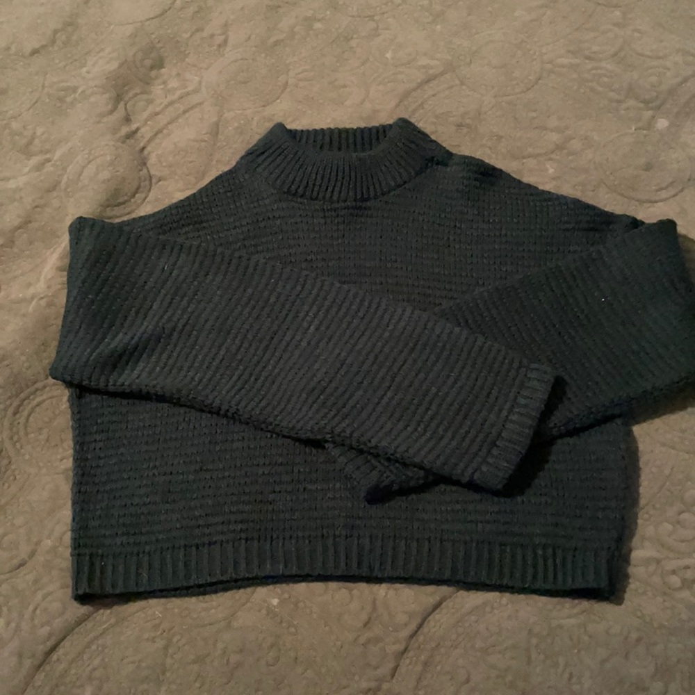 Beautiful cropped Express sweater